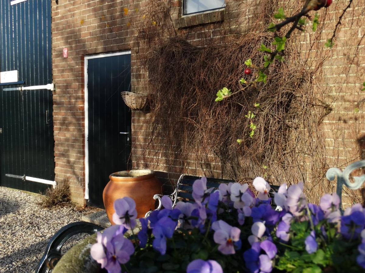B&B Droom In De Polder -De Salon- Luxe Appartement Met Prive-Sauna アルネマイデン エクステリア 写真